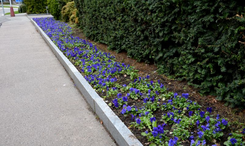 Flowerbed Curbing Installation